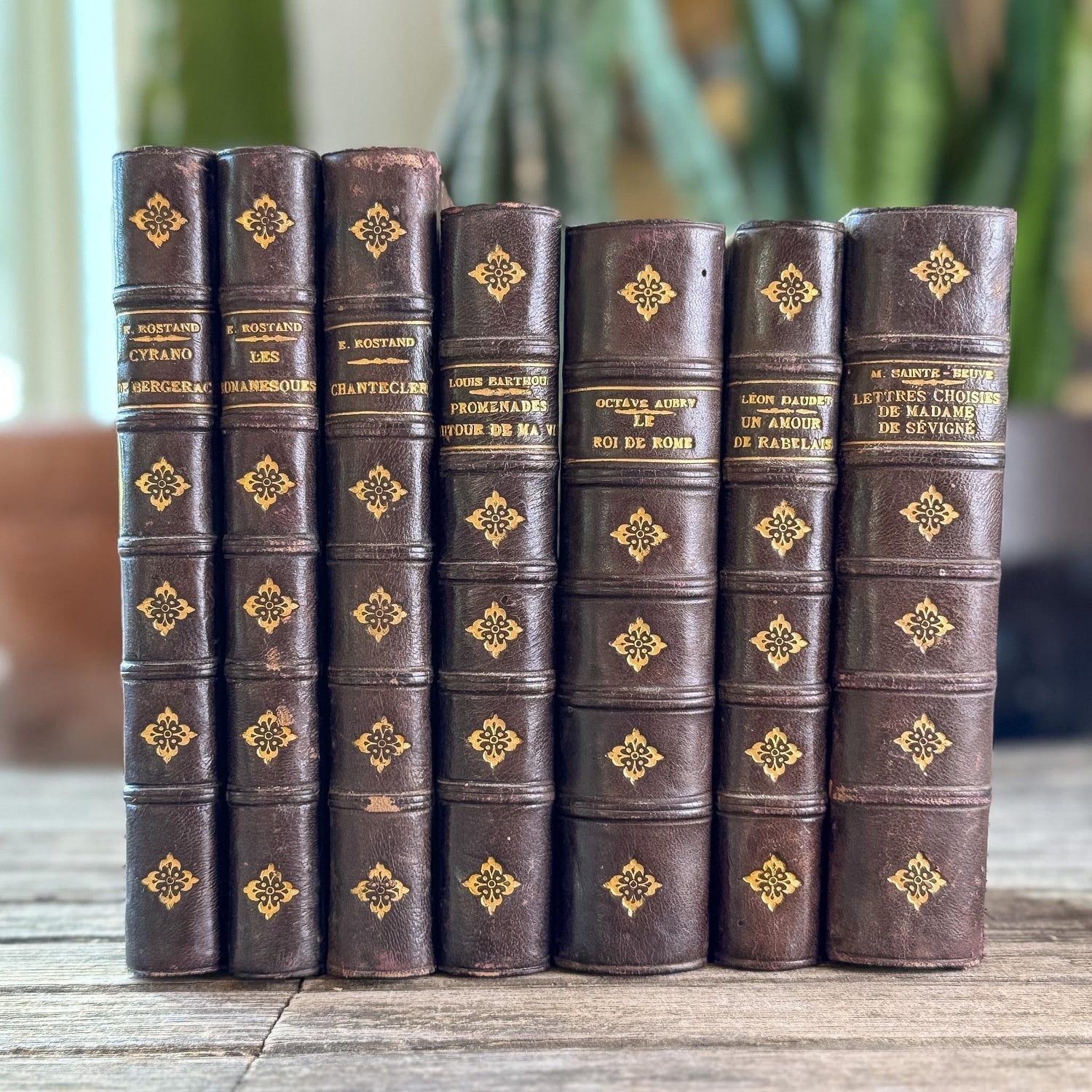 Dark Brown Leather French Antique Book Set
