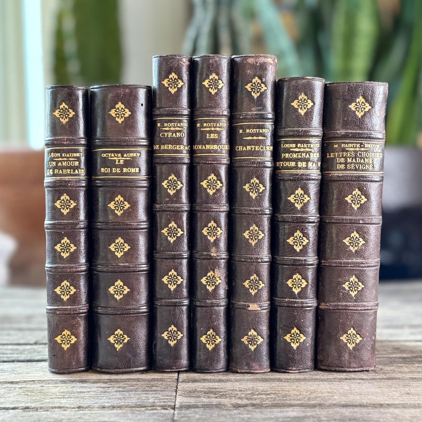 Dark Brown Leather French Antique Book Set