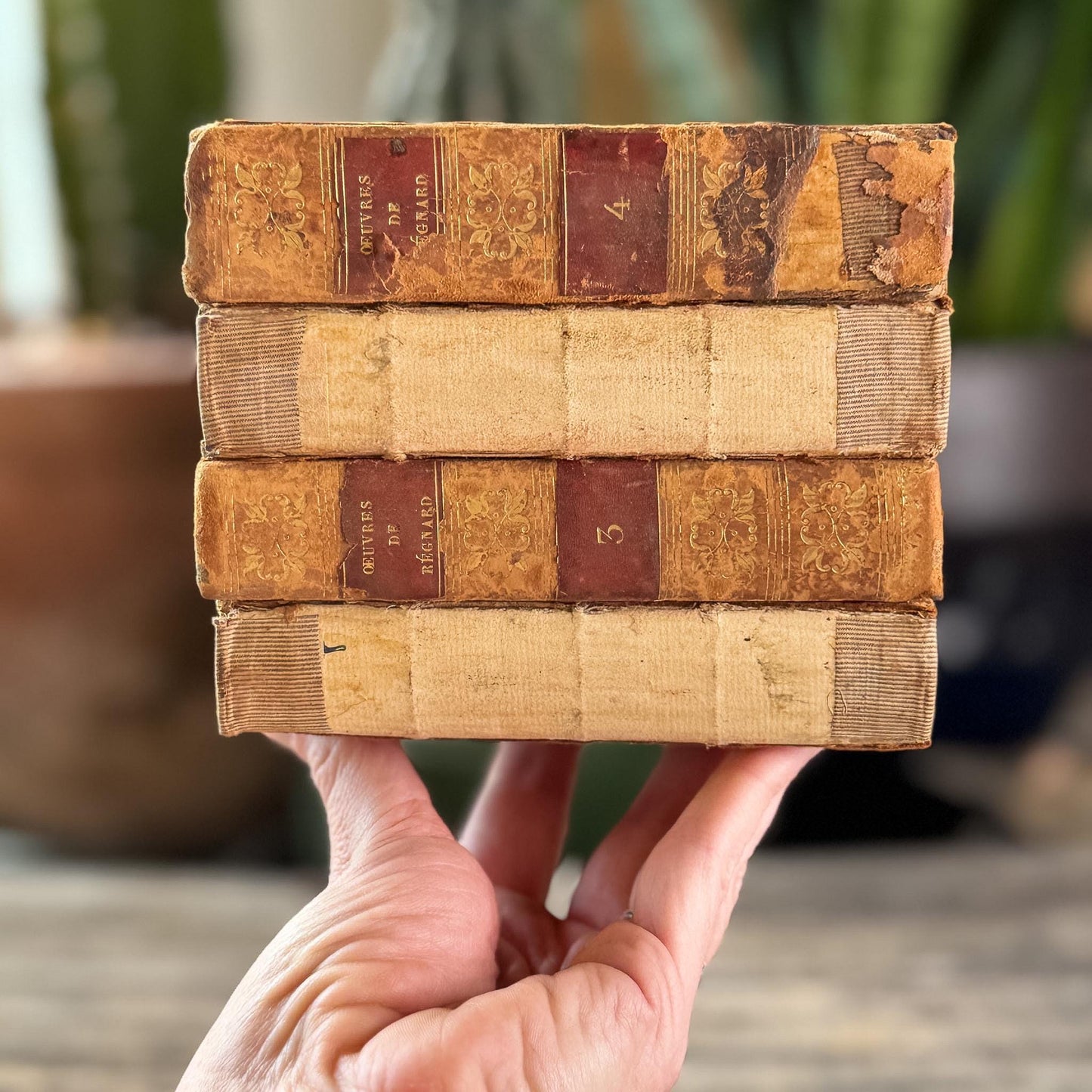 Small Shabby Antique French Book Set - Oeuvres de Régnard, 1824, 4 Volumes