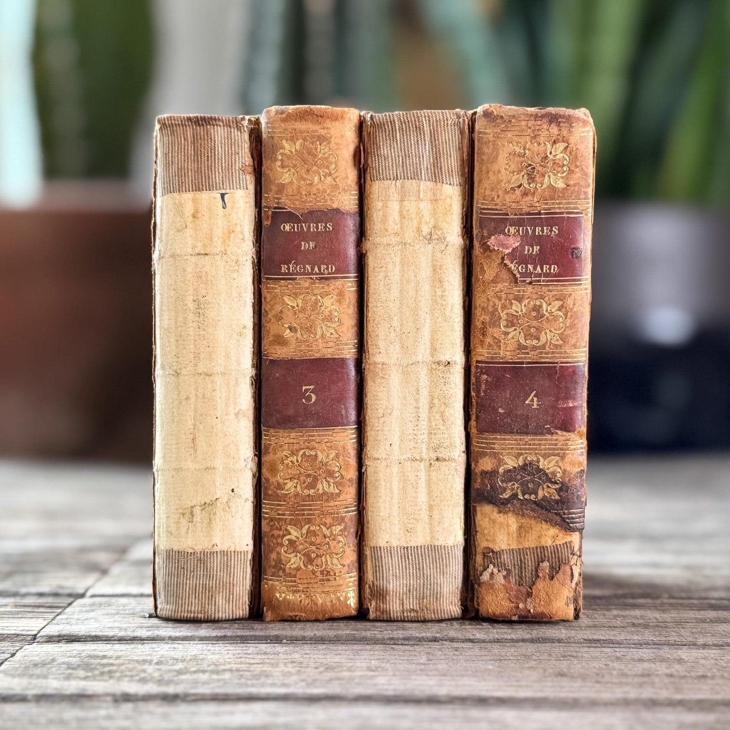 Small Shabby Antique French Book Set - Oeuvres de Régnard, 1824, 4 Volumes