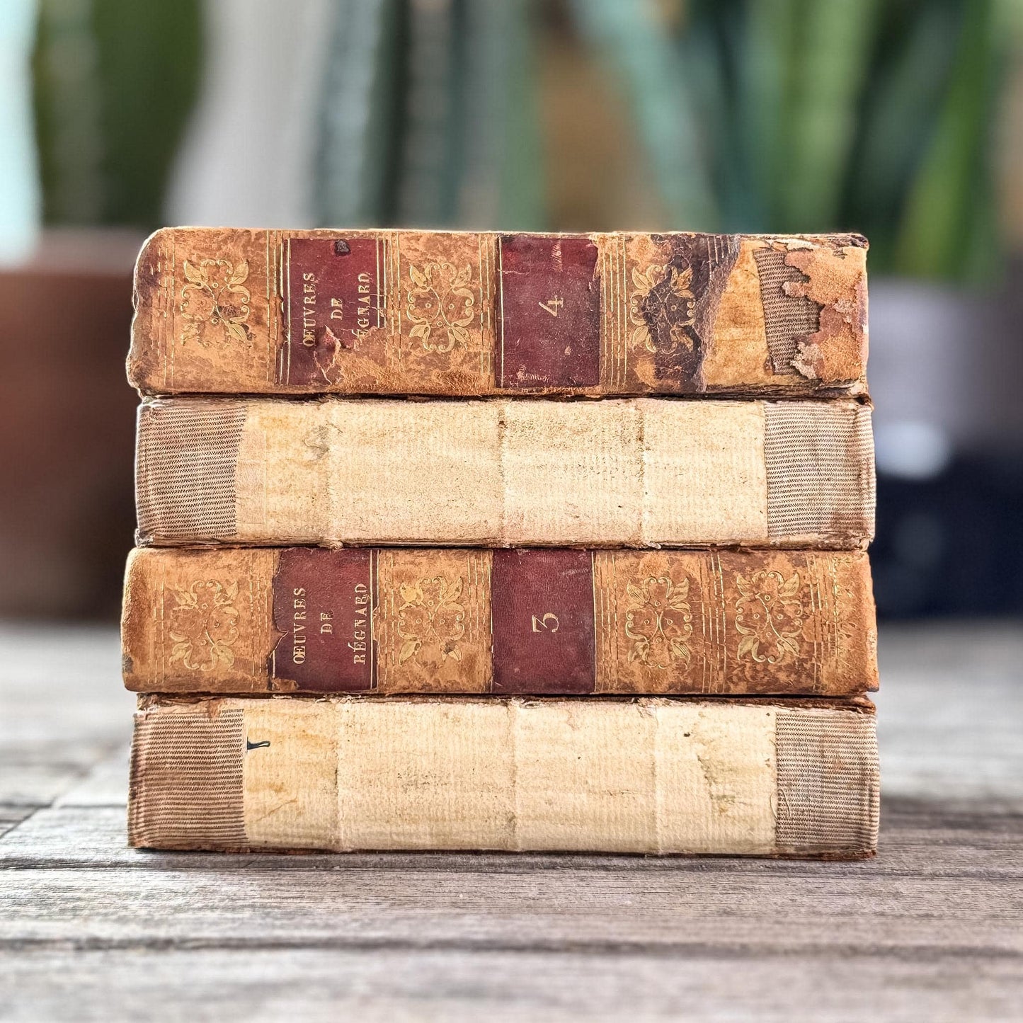 Small Shabby Antique French Book Set - Oeuvres de Régnard, 1824, 4 Volumes