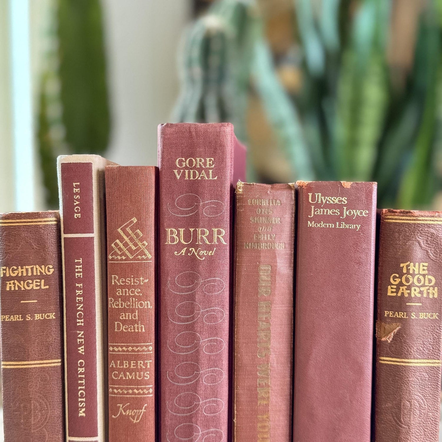 Vintage Rust Red Book Bundle for Autumnal Styling