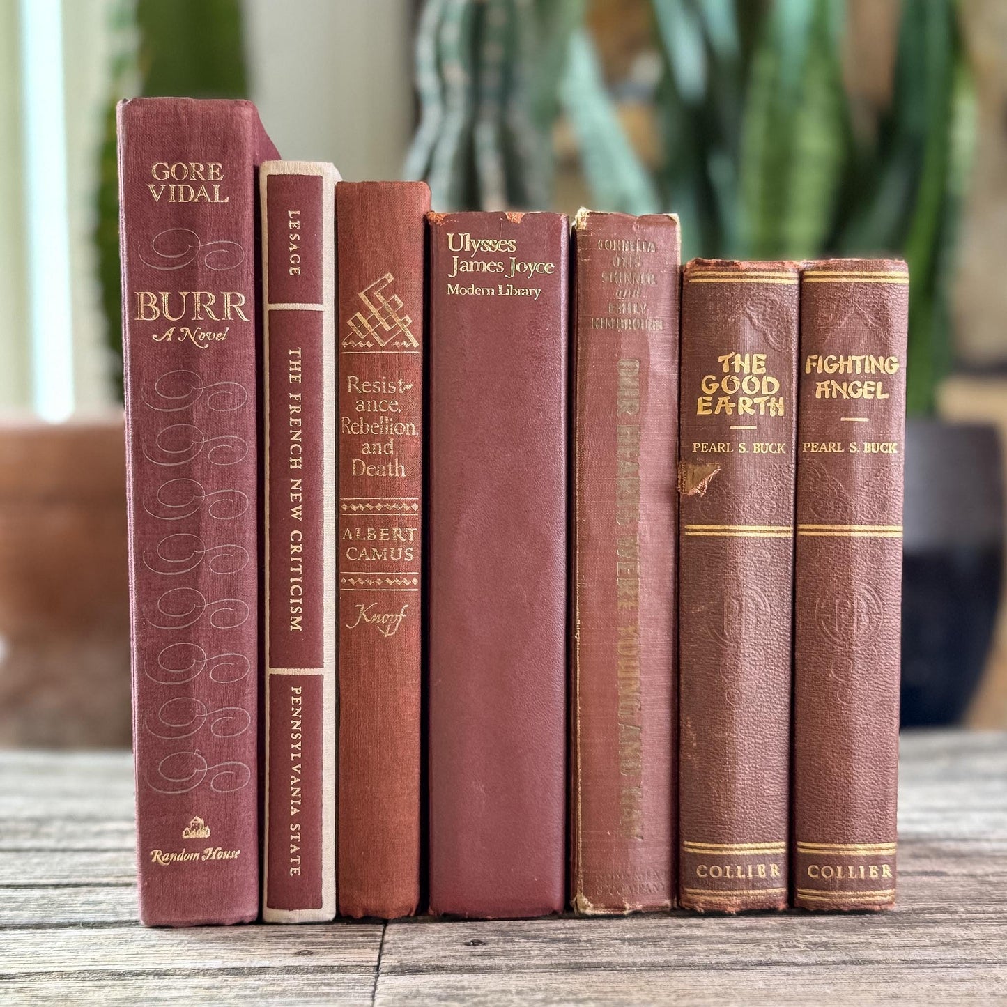 Vintage Rust Red Book Bundle for Autumnal Styling