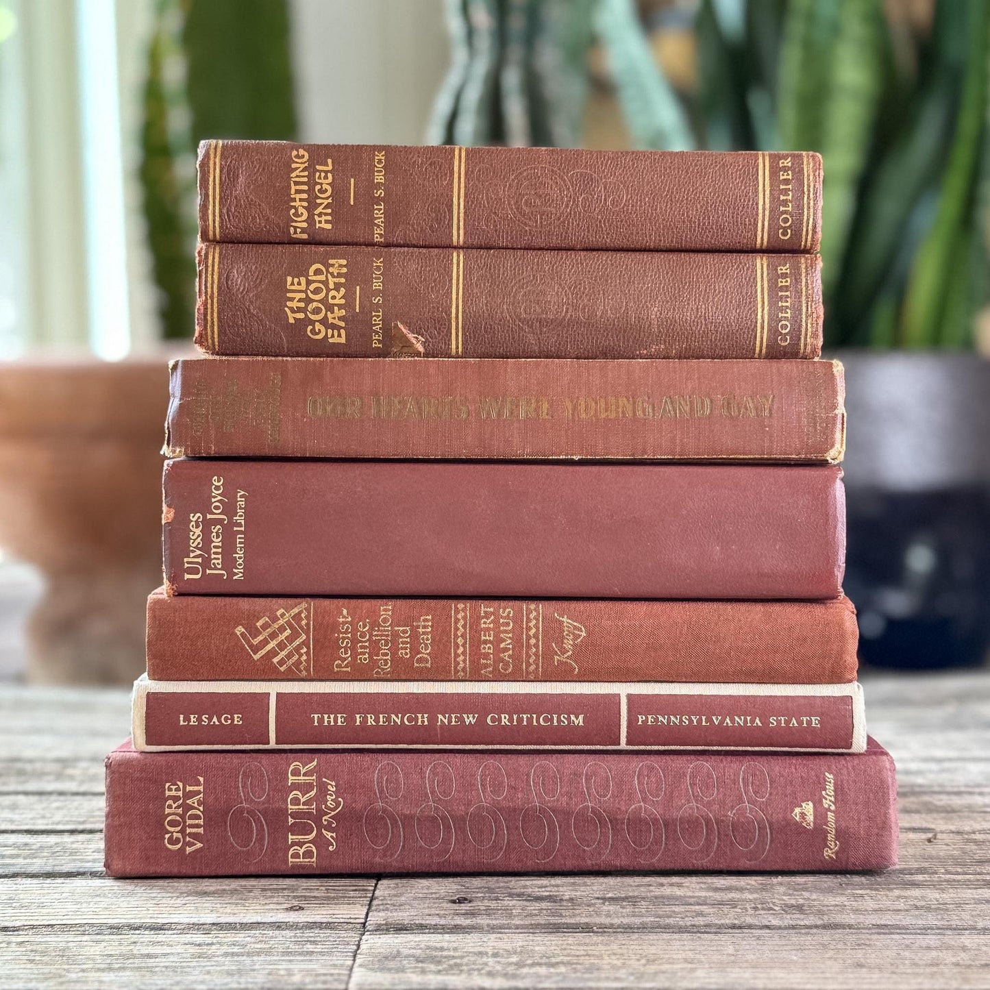 Vintage Rust Red Book Bundle for Autumnal Styling