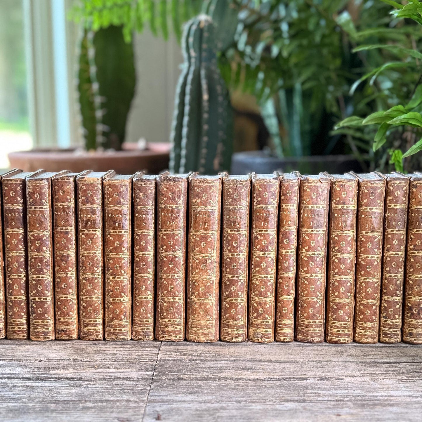 Antique French Leather Book Set, Oeuvres Complettes de Mably, 1790, 21 Volumes