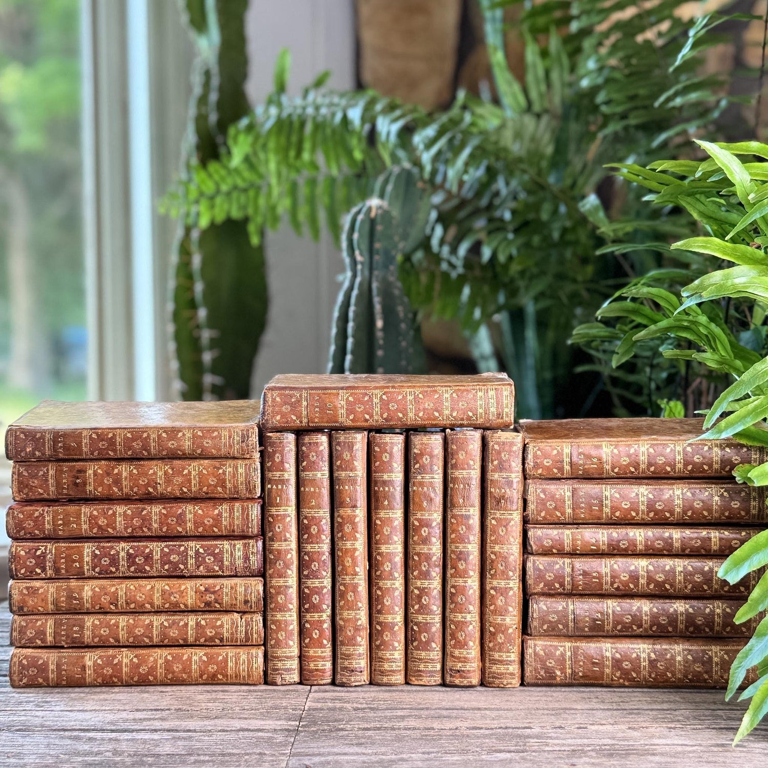 Antique French Leather Book Set, Oeuvres Complettes de Mably, 1790, 21 Volumes