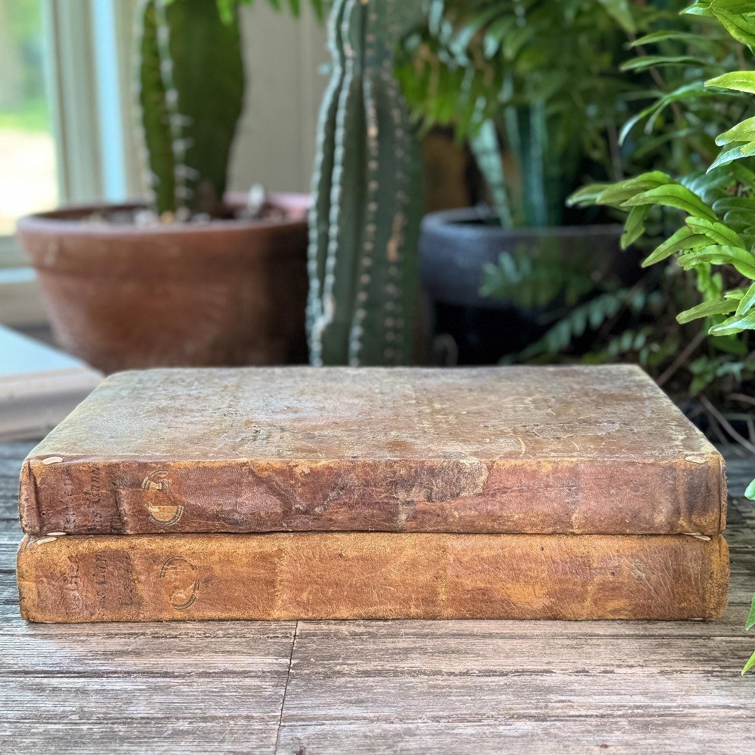 Antique 1778 Vellum Canon Law Book Set in Latin, Jus Canonicum Universum, 2 Volumes