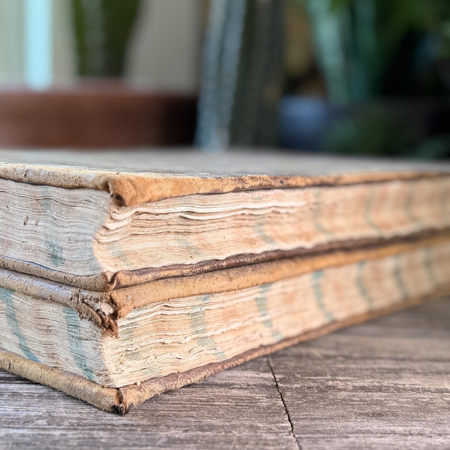 Antique 1778 Vellum Canon Law Book Set in Latin, Jus Canonicum Universum, 2 Volumes