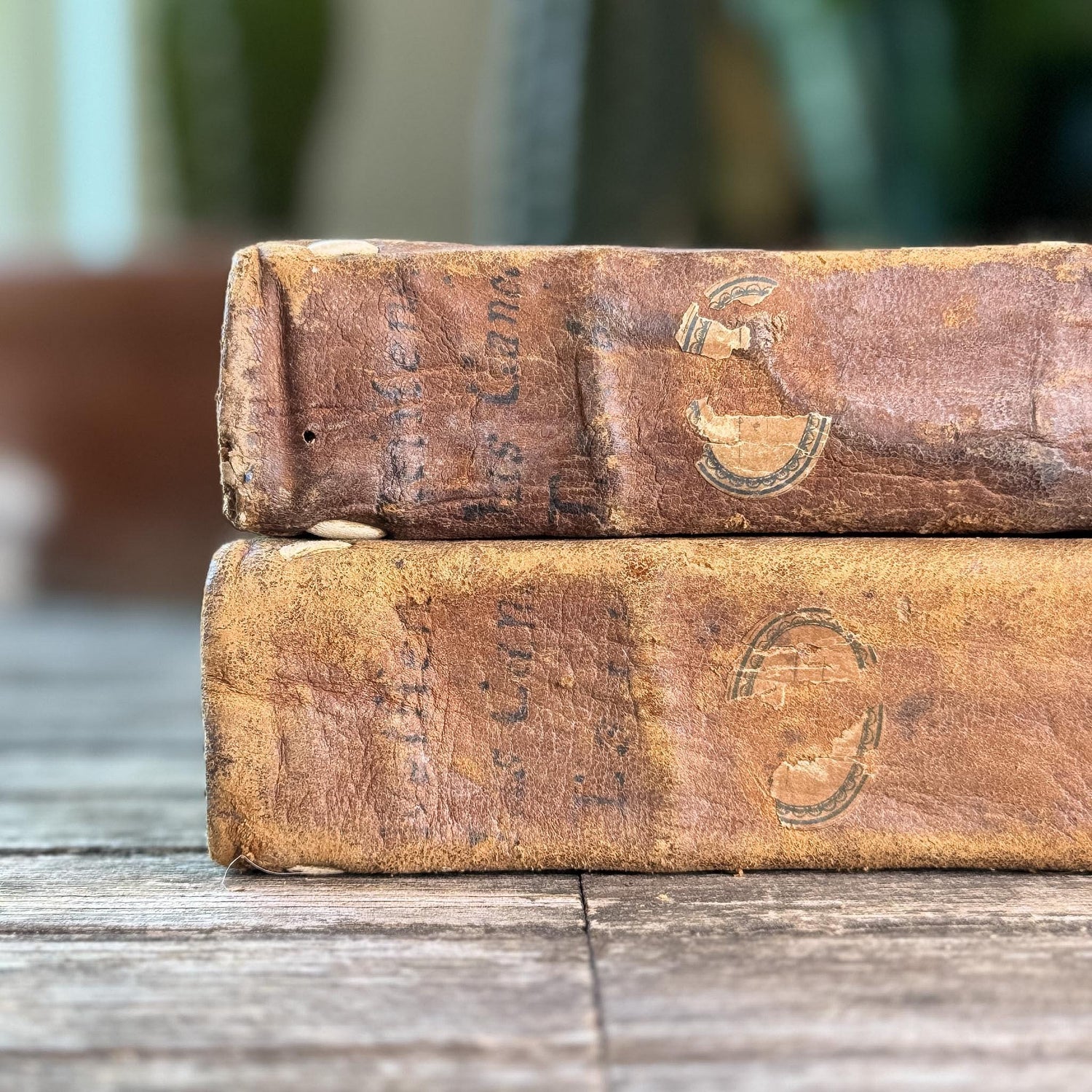 Antique 1778 Vellum Canon Law Book Set in Latin, Jus Canonicum Universum, 2 Volumes