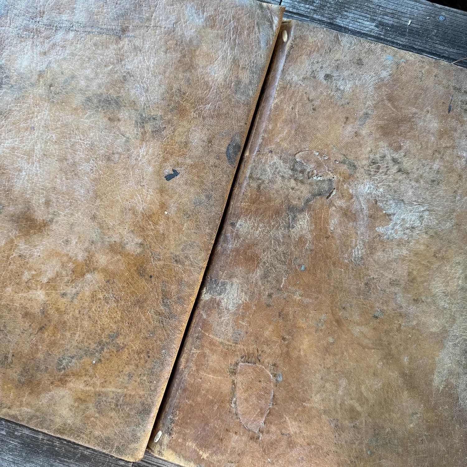 Antique 1778 Vellum Canon Law Book Set in Latin, Jus Canonicum Universum, 2 Volumes