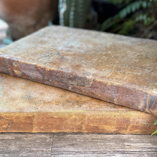 Antique 1778 Vellum Canon Law Book Set in Latin, Jus Canonicum Universum, 2 Volumes