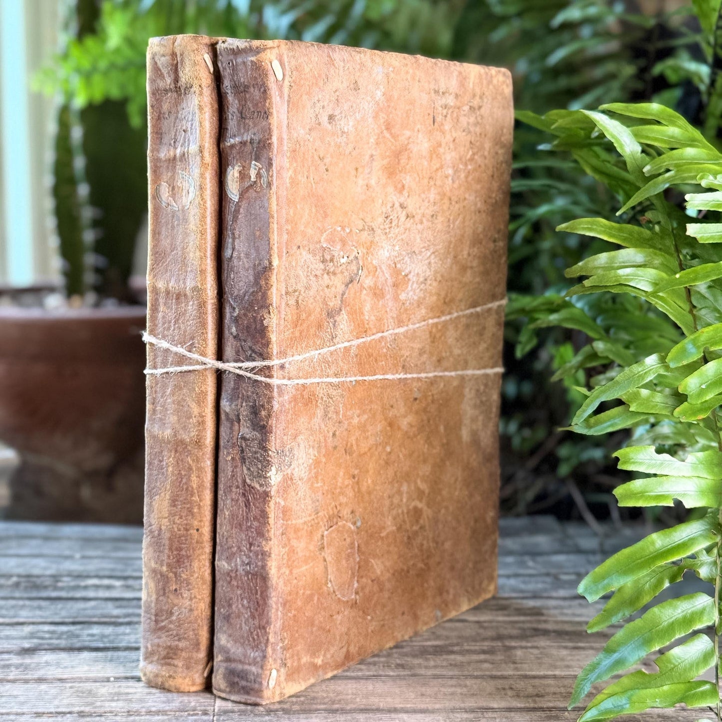 Antique 1778 Vellum Canon Law Book Set in Latin, Jus Canonicum Universum, 2 Volumes