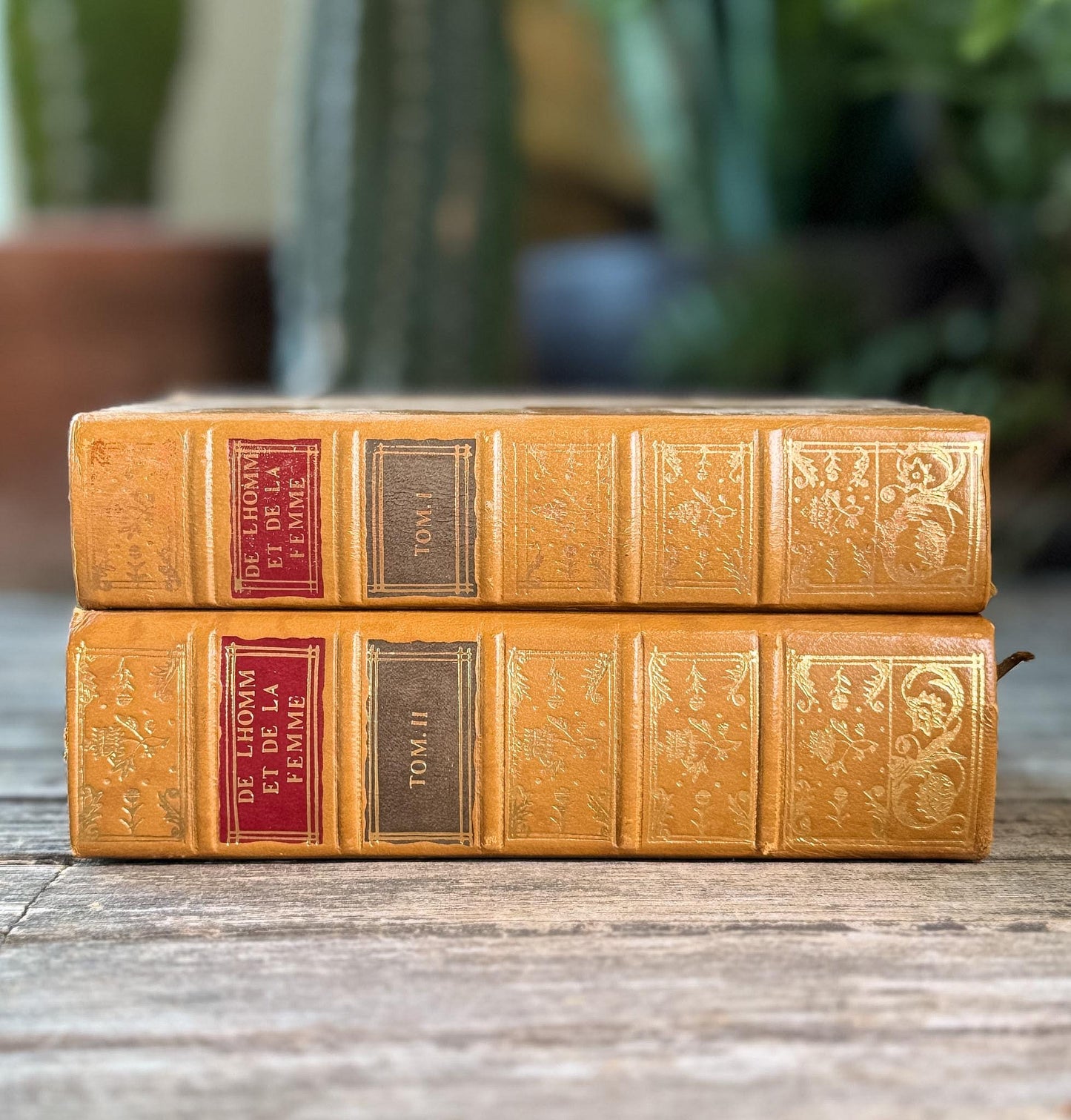 Vintage Reprint of 18th-Century French Marriage and Sex Book Set, De l'Homme et de la Femme, 1772