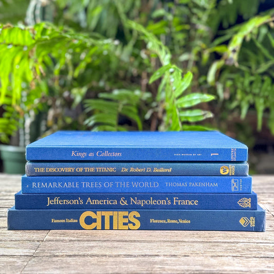 Indigo and Navy Blue Vintage Coffee Table Book Bundle