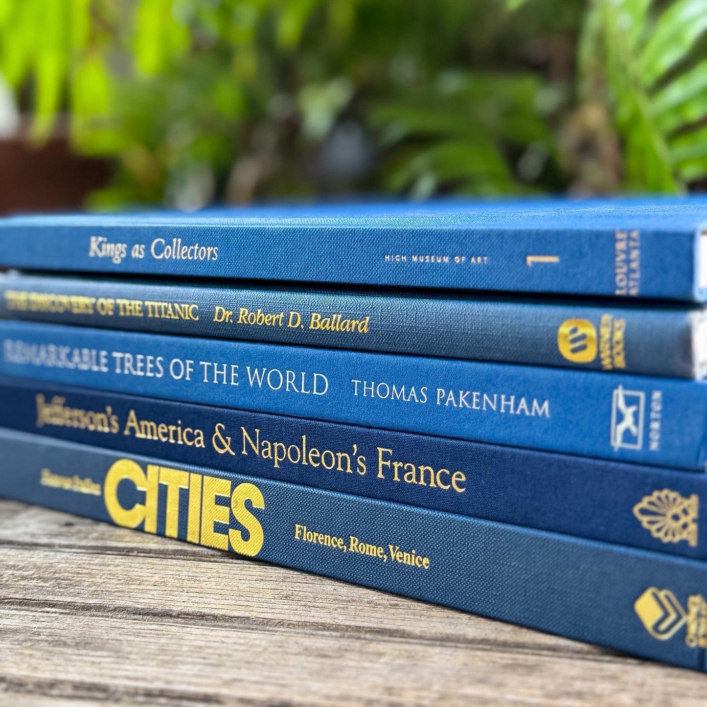 Indigo and Navy Blue Vintage Coffee Table Book Bundle