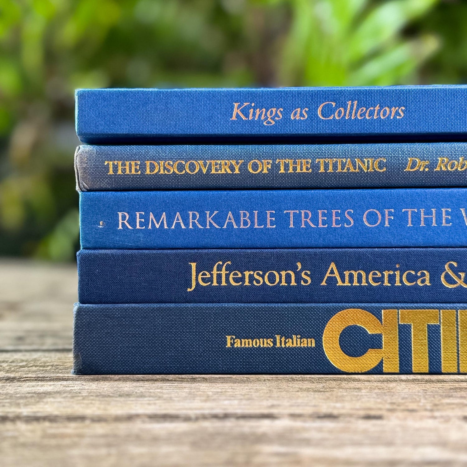 Indigo and Navy Blue Vintage Coffee Table Book Bundle