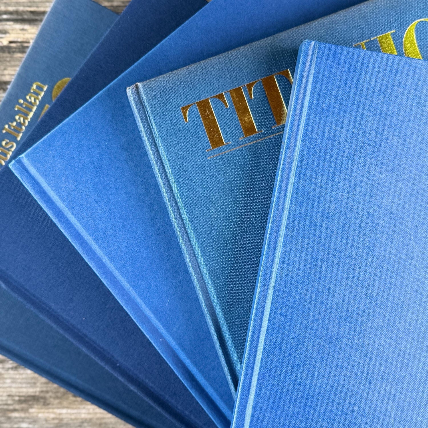 Indigo and Navy Blue Vintage Coffee Table Book Bundle