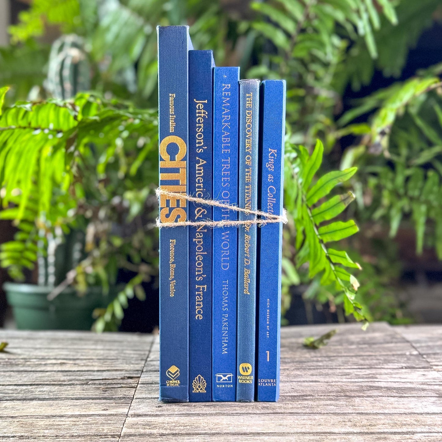Indigo and Navy Blue Vintage Coffee Table Book Bundle