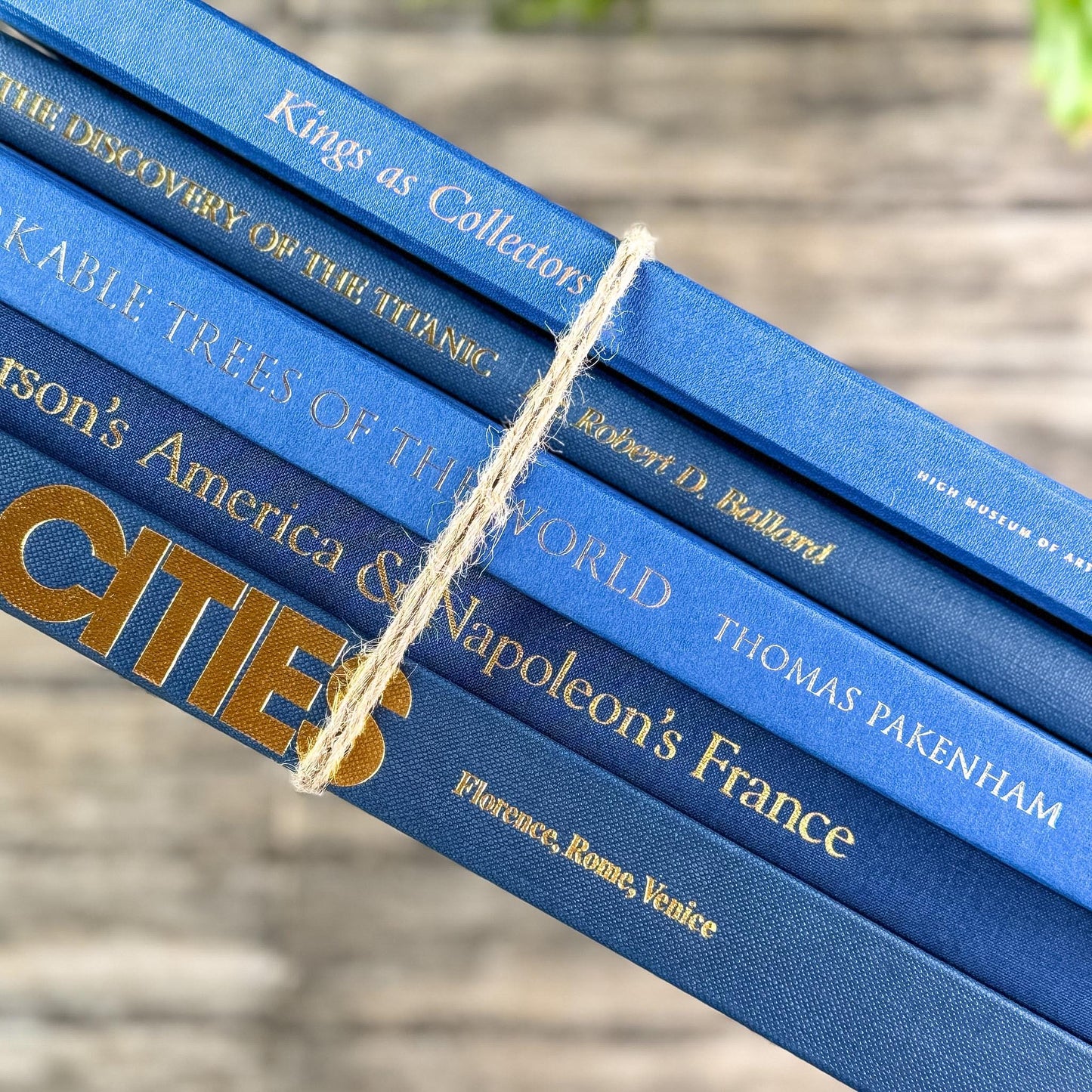 Indigo and Navy Blue Vintage Coffee Table Book Bundle