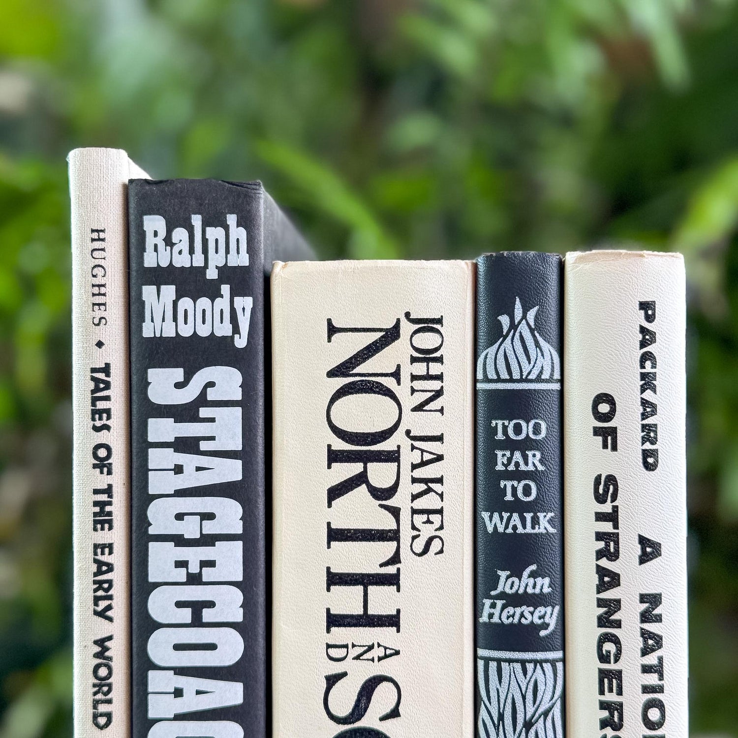 Vintage Black and White Book Bundle for Shelf Styling