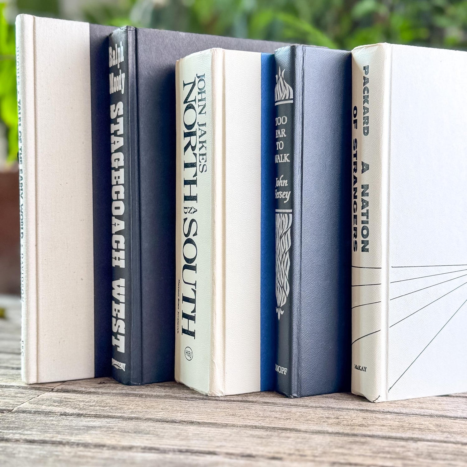 Vintage Black and White Book Bundle for Shelf Styling