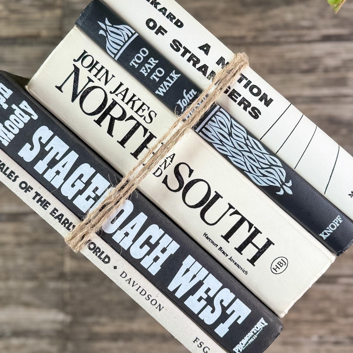 Vintage Black and White Book Bundle for Shelf Styling