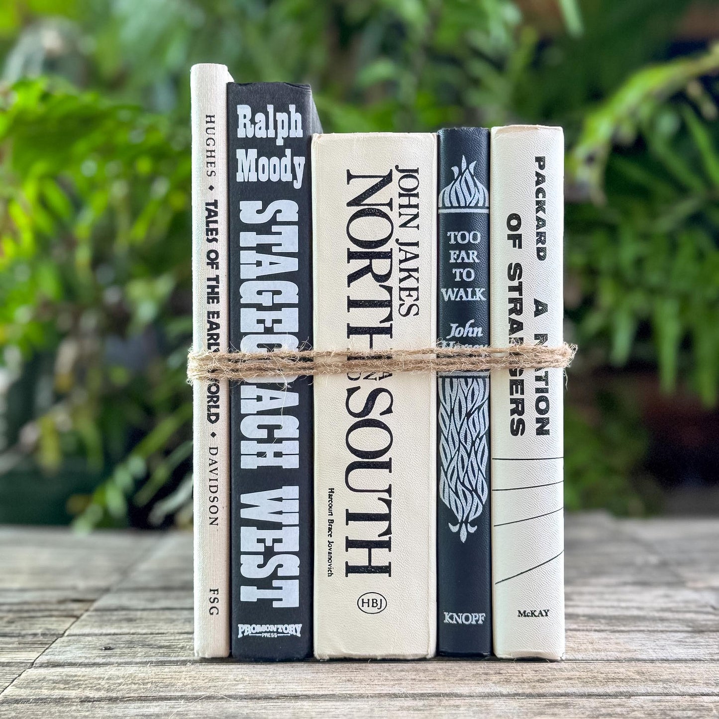 Vintage Black and White Book Bundle for Shelf Styling