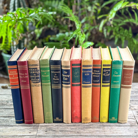 Mid-Century Multicolor Vintage Book Set for Office and Livign Room Shelf Styling