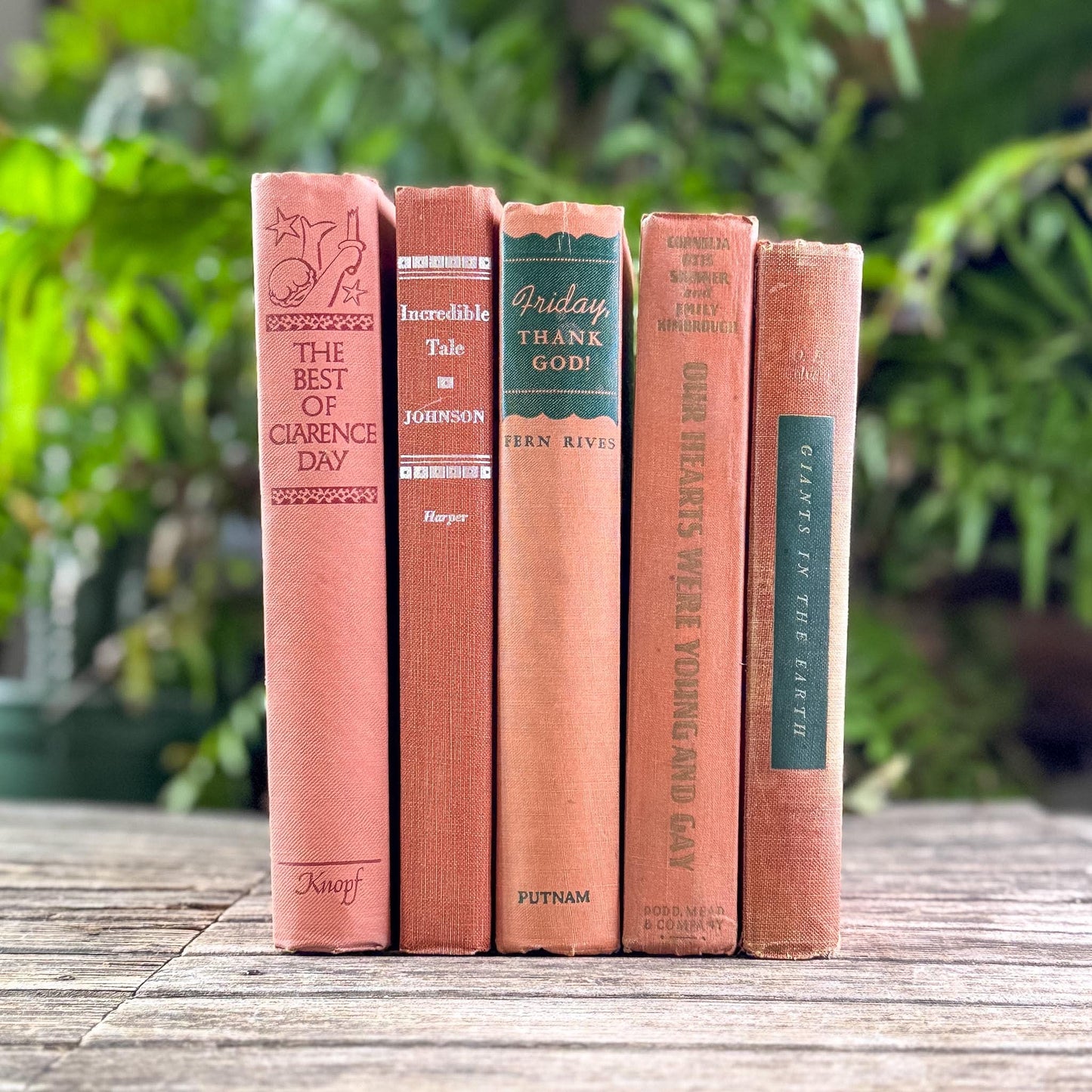Terracotta and Peach Vintage Book Bundle for Feminine Shelf Styling