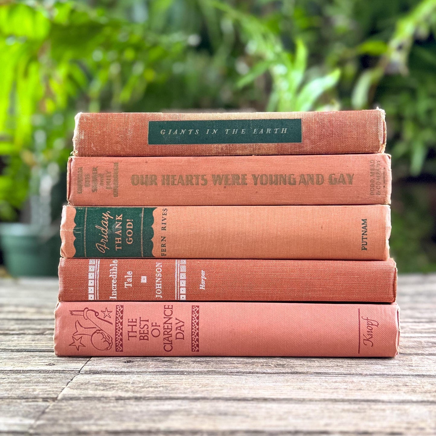 Terracotta and Peach Vintage Book Bundle for Feminine Shelf Styling