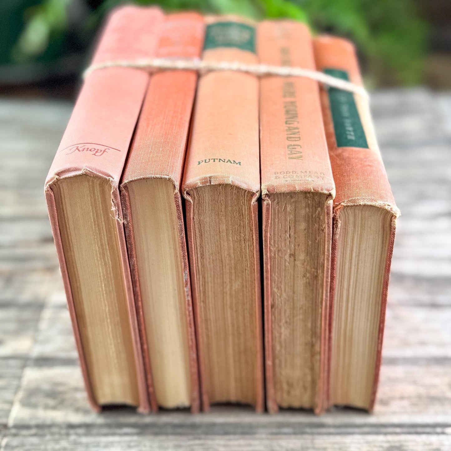 Terracotta and Peach Vintage Book Bundle for Feminine Shelf Styling