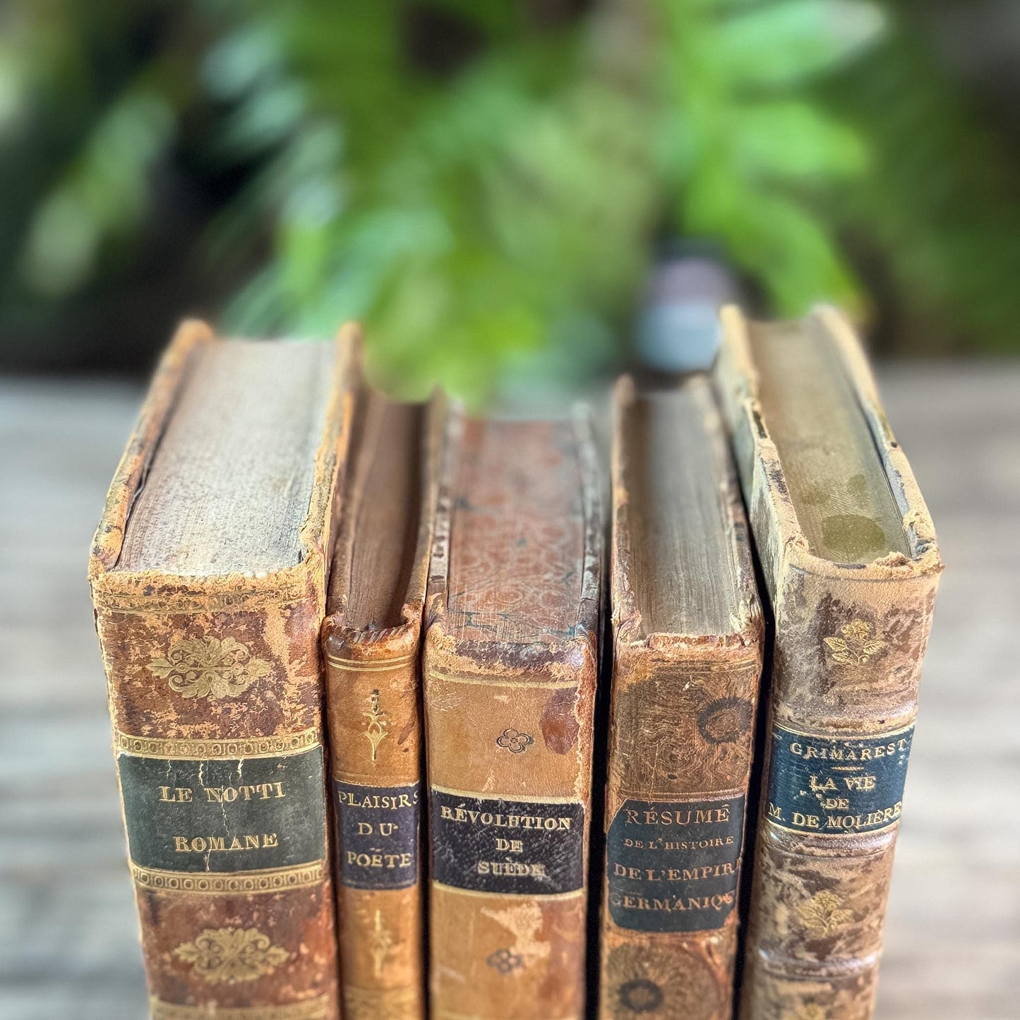 Antique 1800s Brown, Black, and Gold French Leather Book Bundle