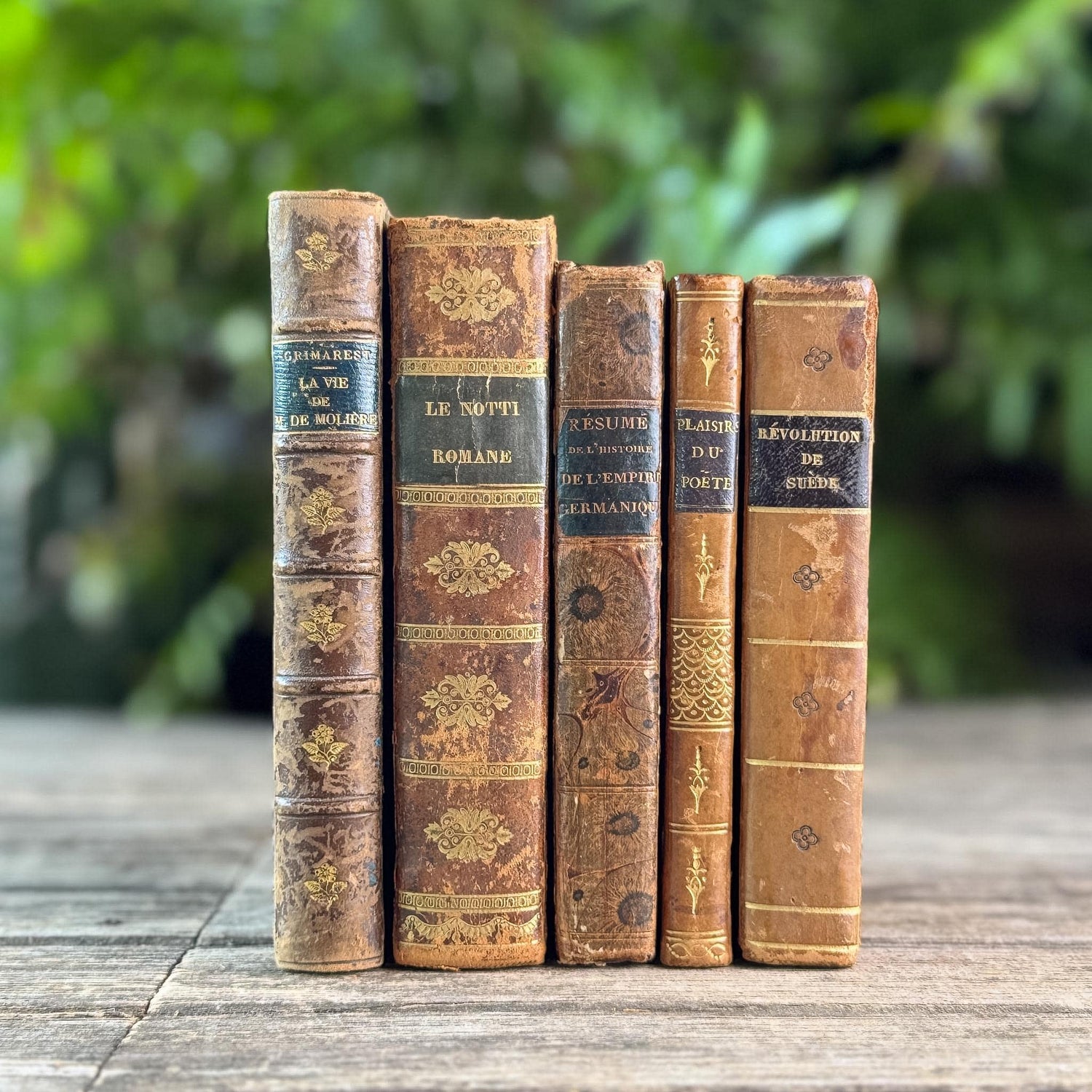 Antique 1800s Brown, Black, and Gold French Leather Book Bundle