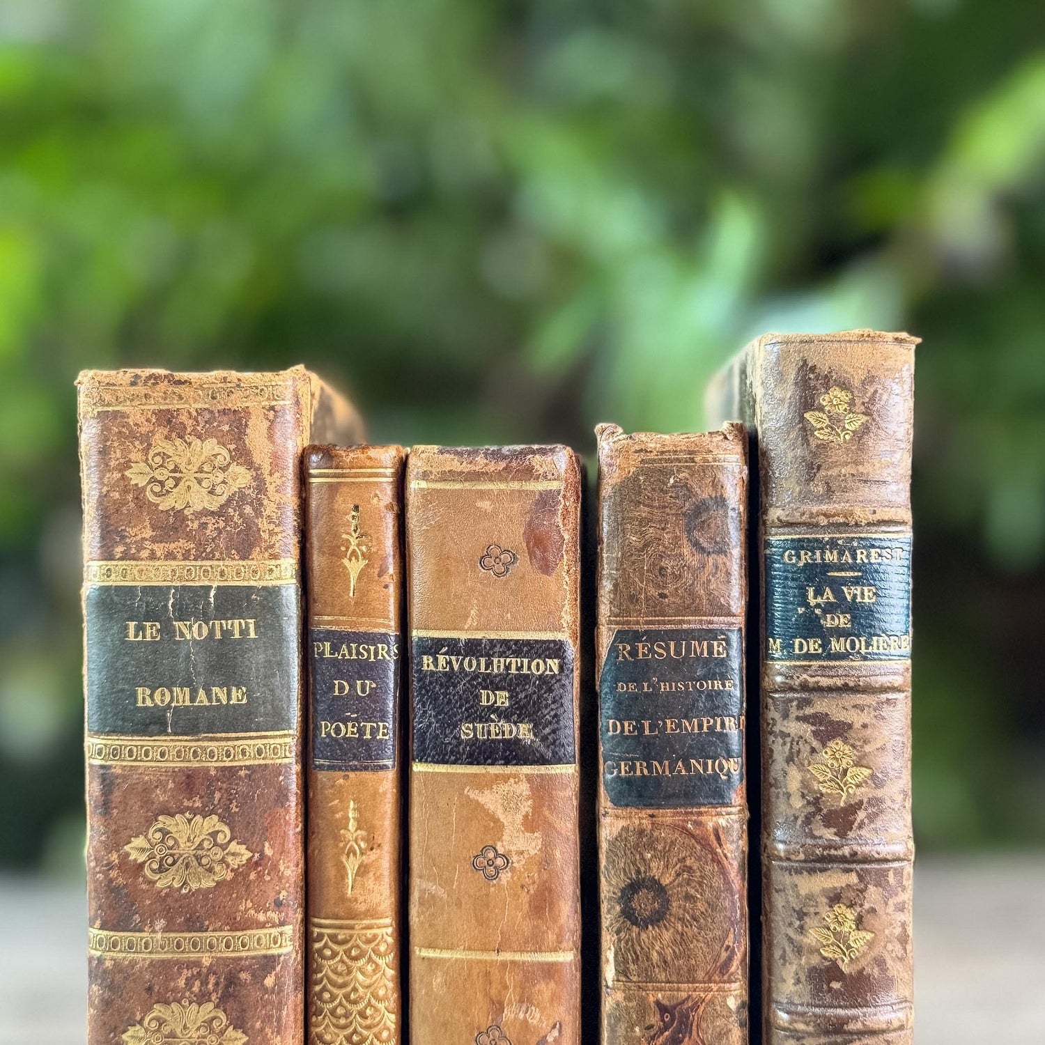 Antique 1800s Brown, Black, and Gold French Leather Book Bundle
