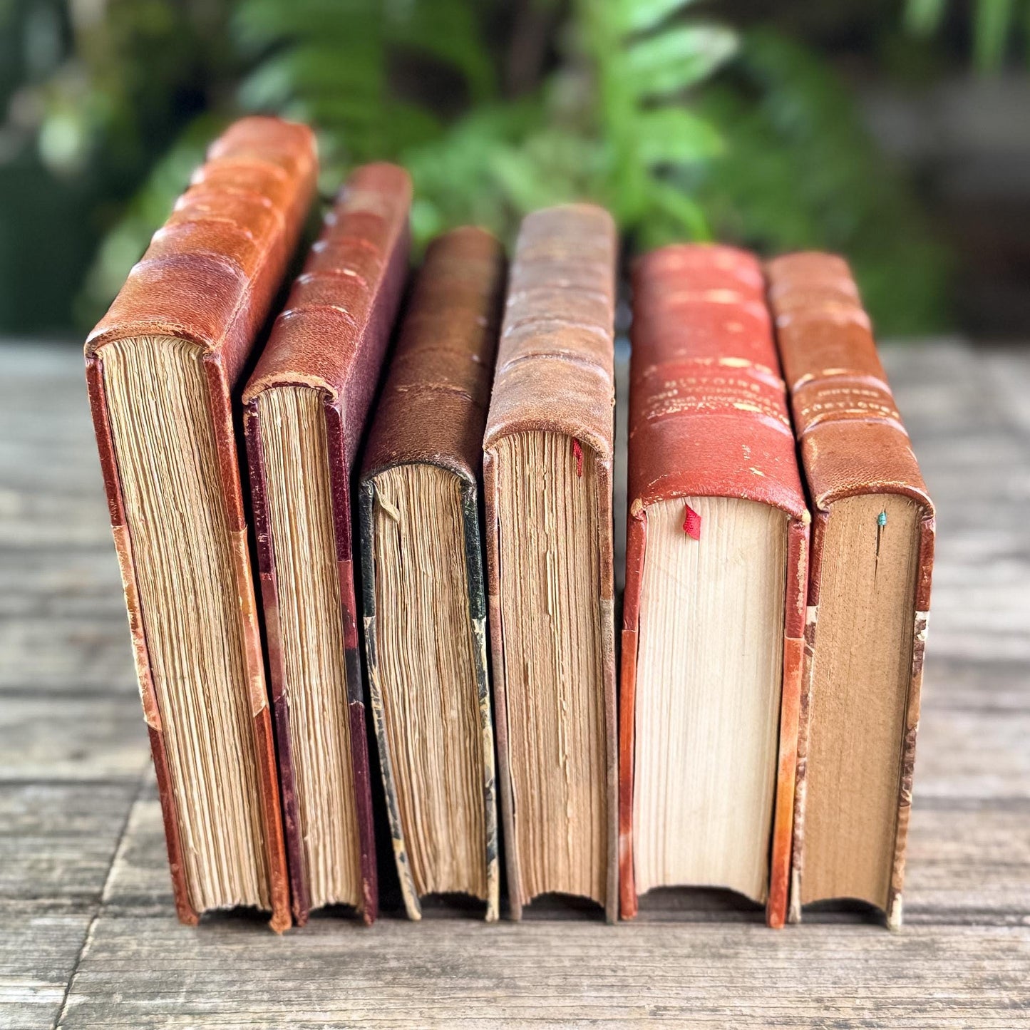 Antique Copper, Brown, and Red French Leather Book Bundle