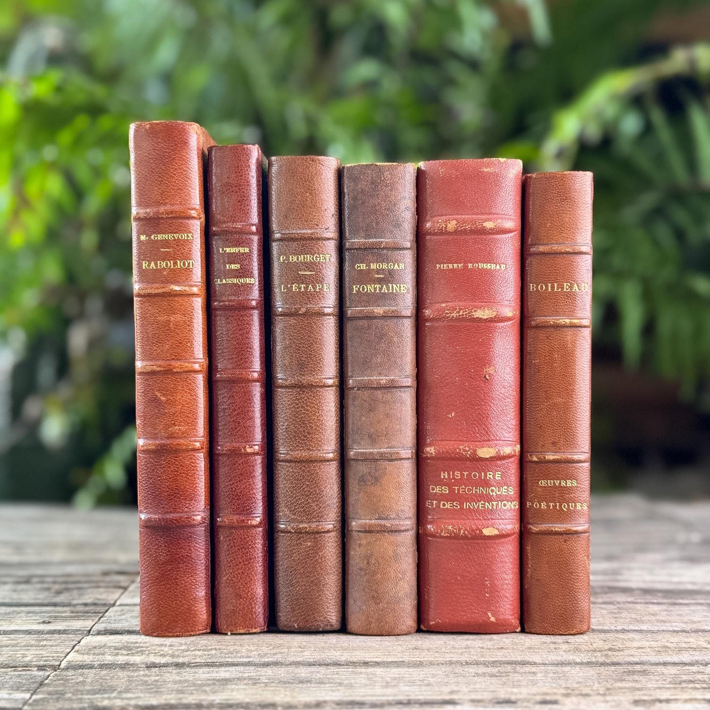 Antique Copper, Brown, and Red French Leather Book Bundle