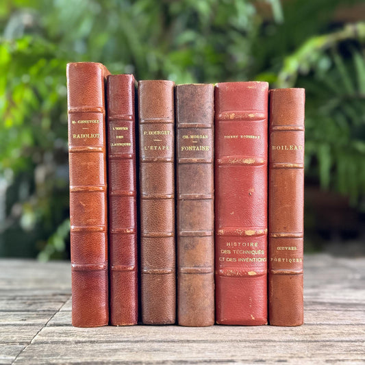 Antique Copper, Brown, and Red French Leather Book Bundle