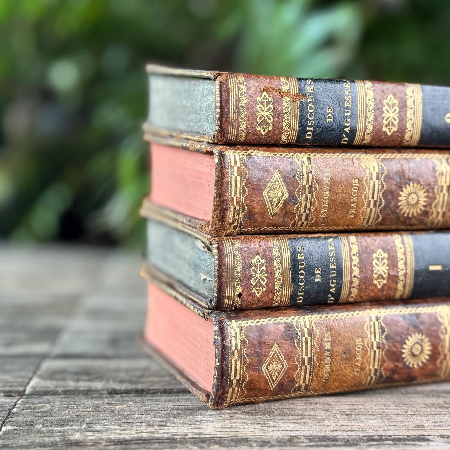 Antique French Leather Book Ornate Book Set for Small Spaces