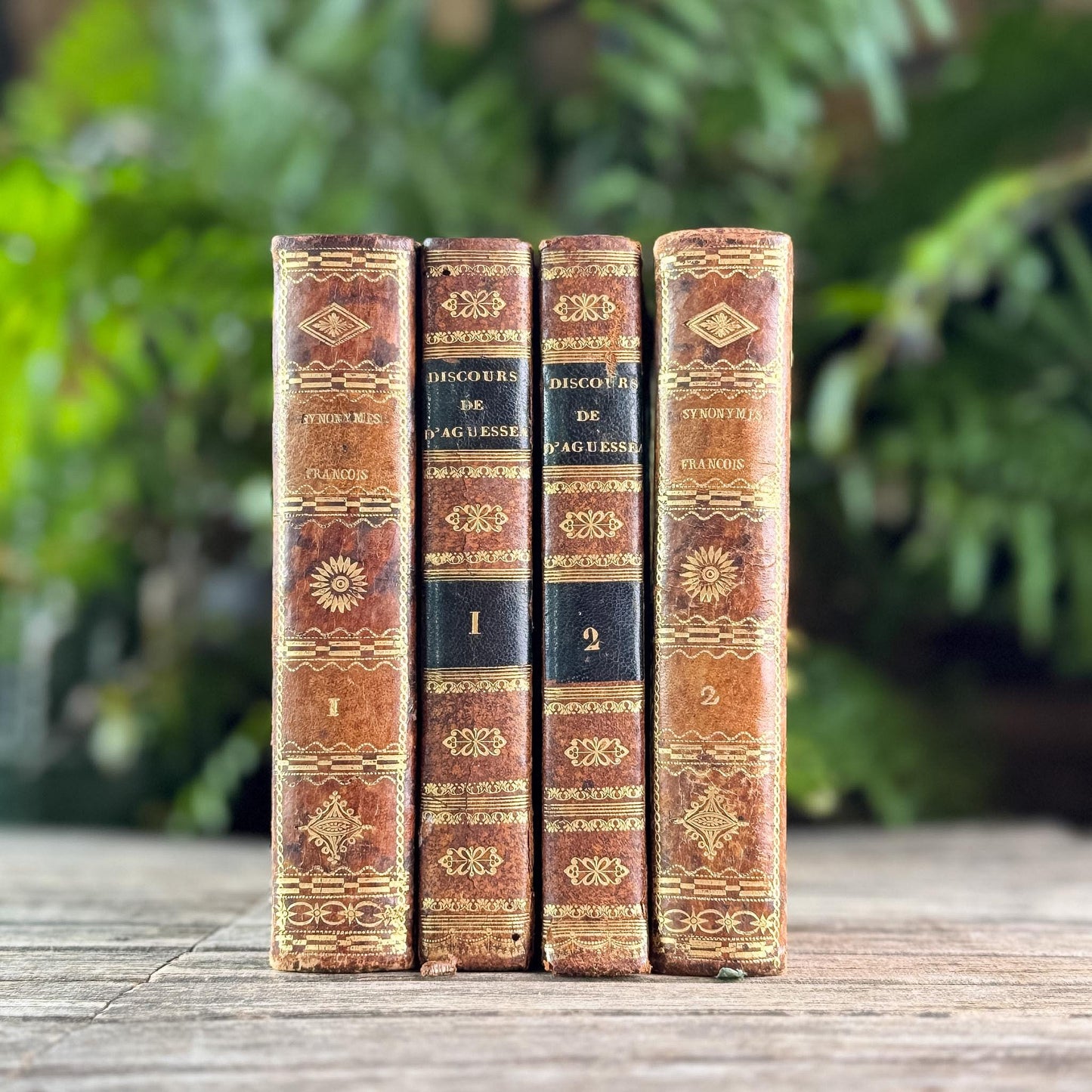 Antique French Leather Book Ornate Book Set for Small Spaces