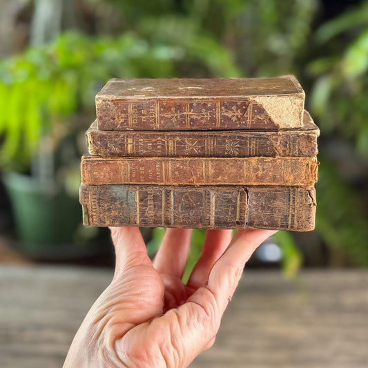 Small Shabby Antique French Book Set in Brown and Gold Leather