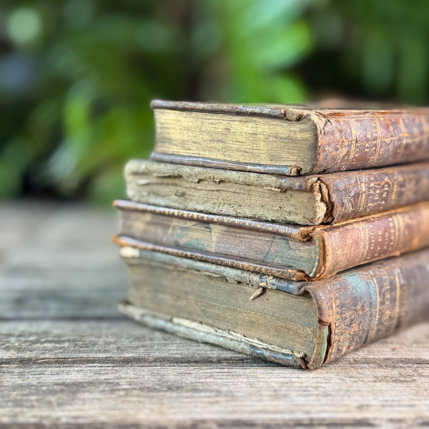 Small Shabby Antique French Book Set in Brown and Gold Leather