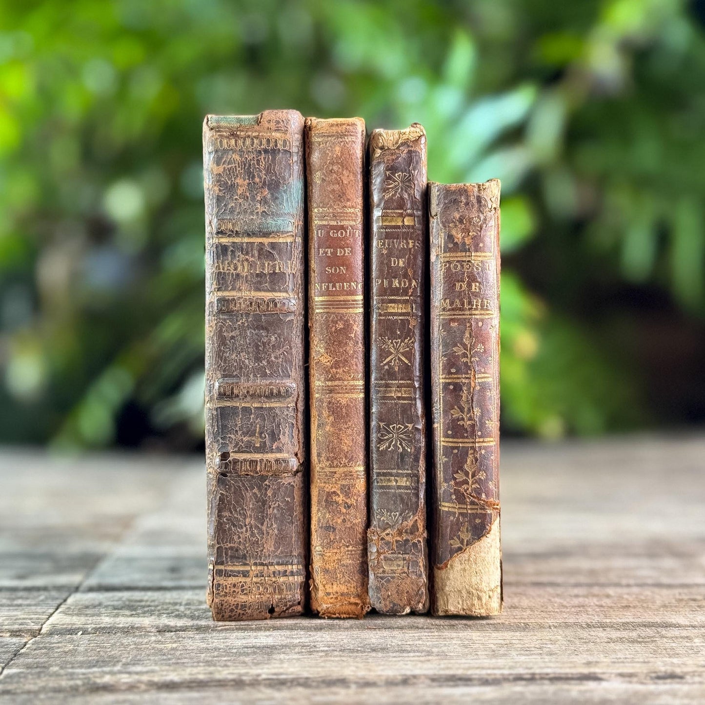Small Shabby Antique French Book Set in Brown and Gold Leather
