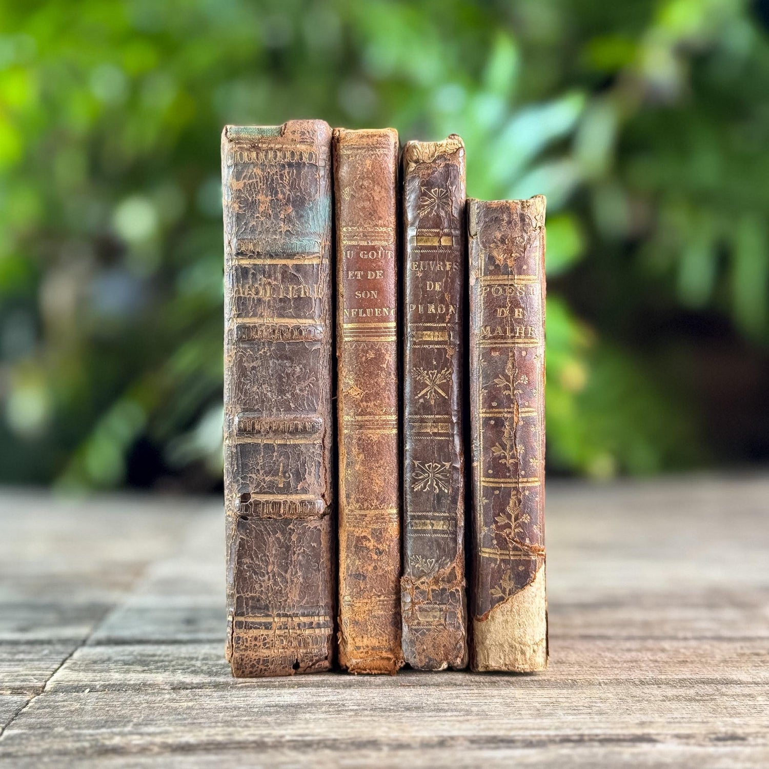 Small Shabby Antique French Book Set in Brown and Gold Leather