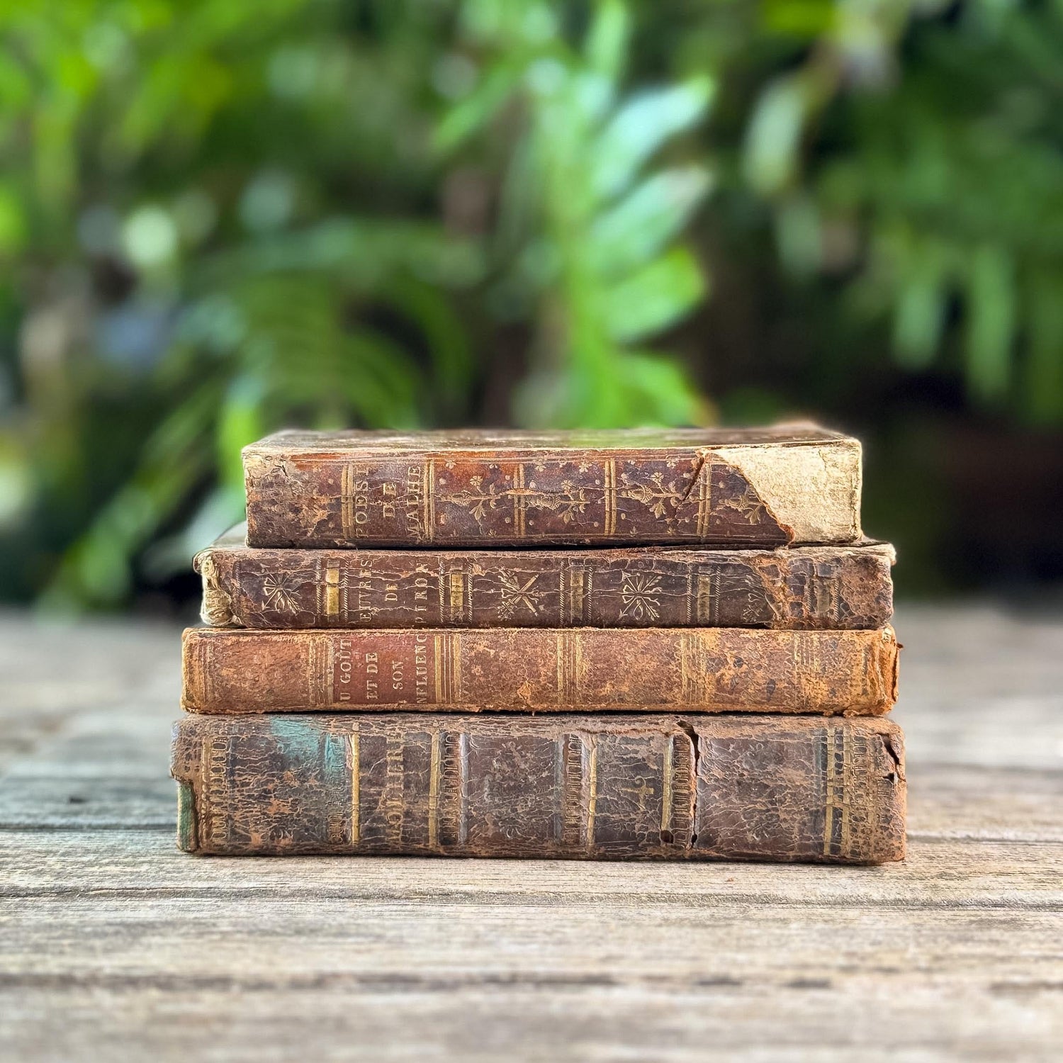 Small Shabby Antique French Book Set in Brown and Gold Leather
