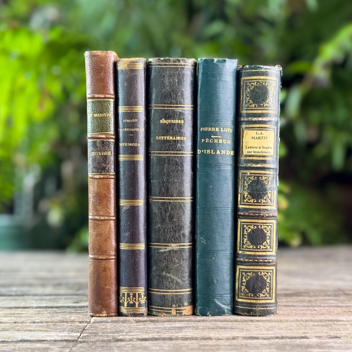 Antique Blue & Green French Leather-Bound Moody Book Bundle
