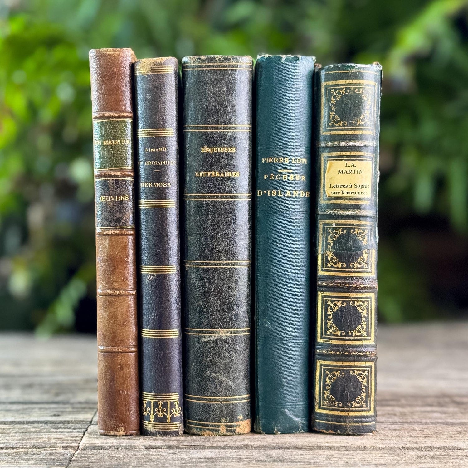Antique Blue & Green French Leather-Bound Moody Book Bundle