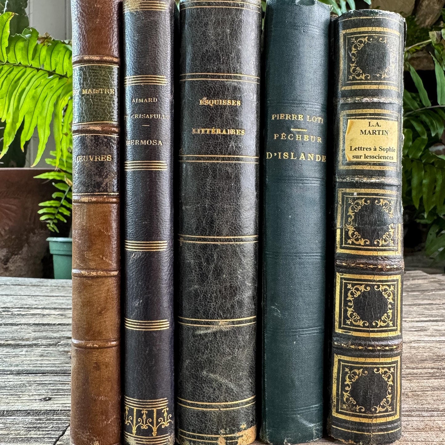 Antique Blue & Green French Leather-Bound Moody Book Bundle
