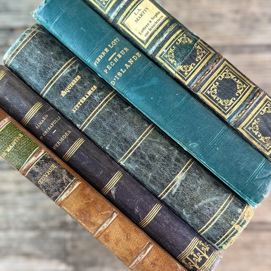 Antique Blue & Green French Leather-Bound Moody Book Bundle