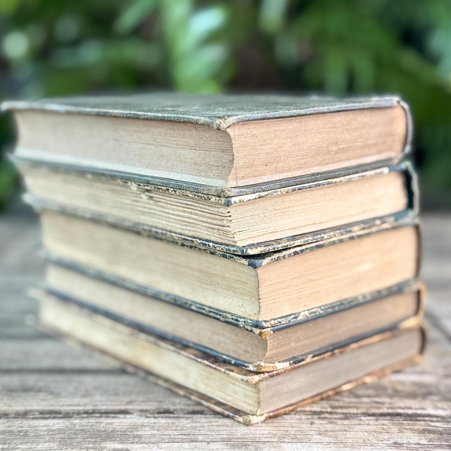 Antique Blue & Green French Leather-Bound Moody Book Bundle