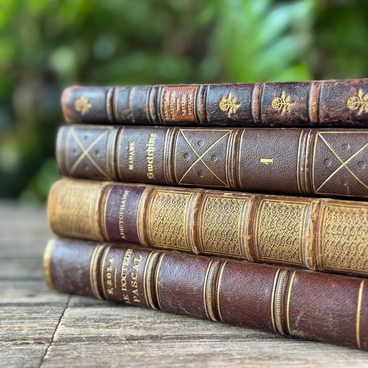 Antique Brown & Gold Ornate French Leather Book Bundle